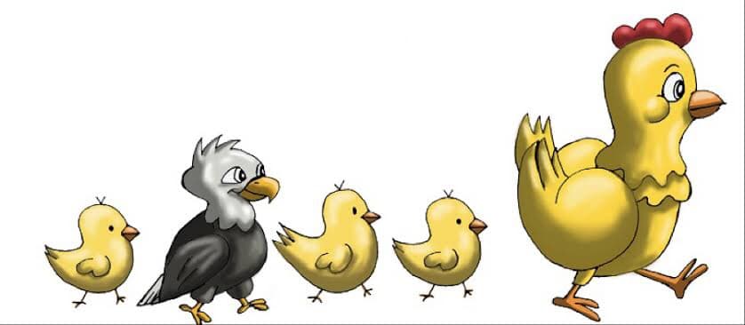 Could you be an eagle?